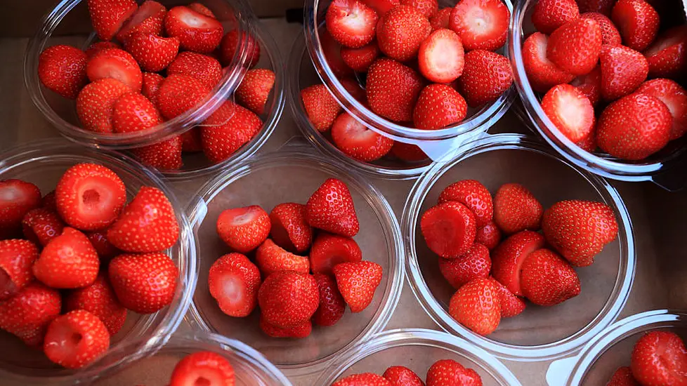 Farmers In Uk Left With Abundance Of Strawberries And Cherries After Heatwave Growth Spurt