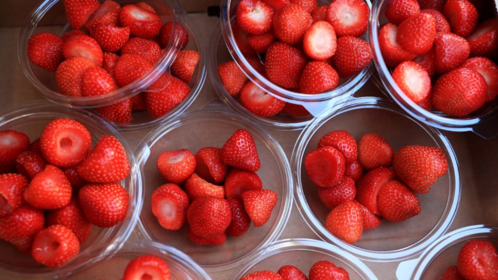 Farmers In Uk Left With Abundance Of Strawberries And Cherries After Heatwave Growth Spurt