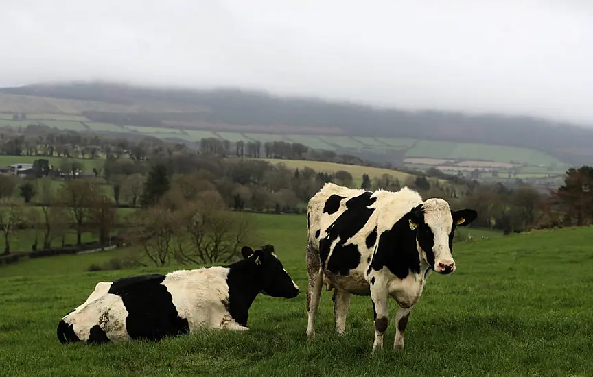 'Significant' Price Hikes Faced By Irish Dairy, Meat And Grain Producers - Cso