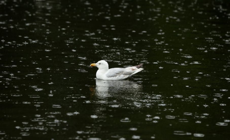 Rain Warning Issued For Cork And Waterford