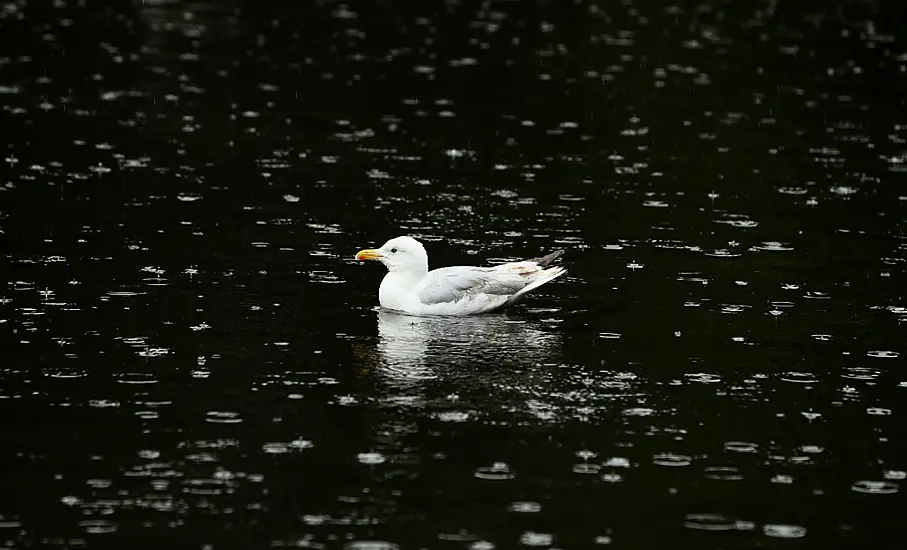 Rain Warning Issued For Cork And Waterford