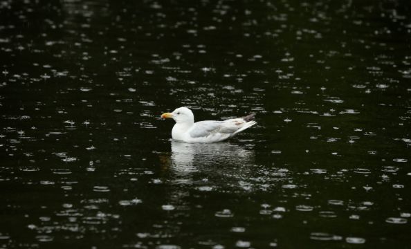Rain Warning Issued For Cork And Waterford