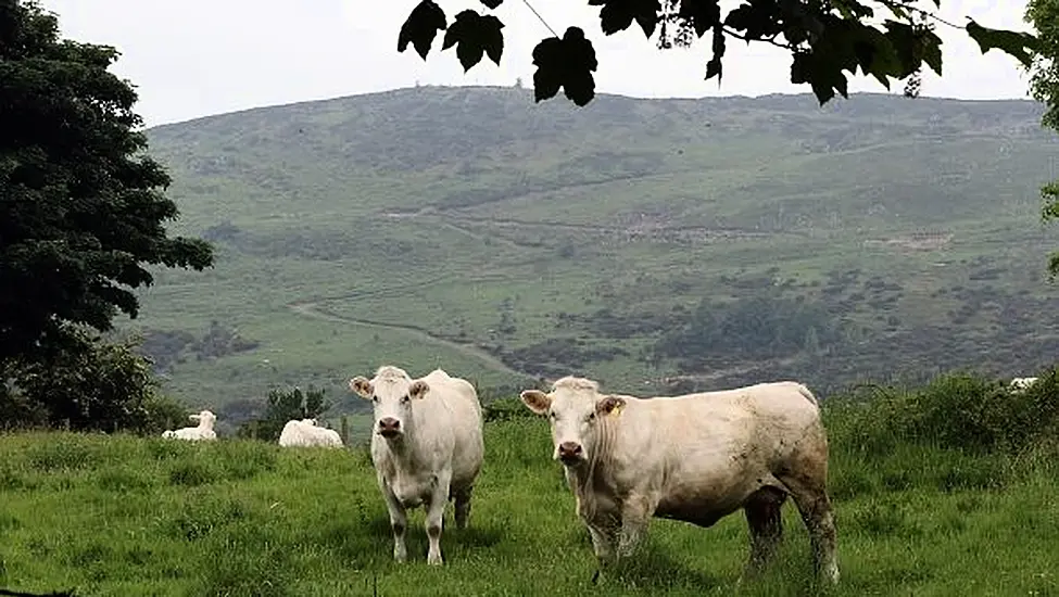 Coalition Leaders Fail To Agree Climate Targets In Farming Sector