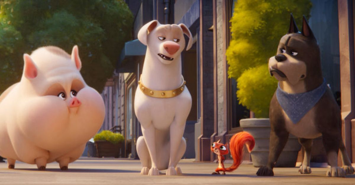 Movie Review: DC League of Super-Pets tugs shamelessly on animal lovers'  heartstrings