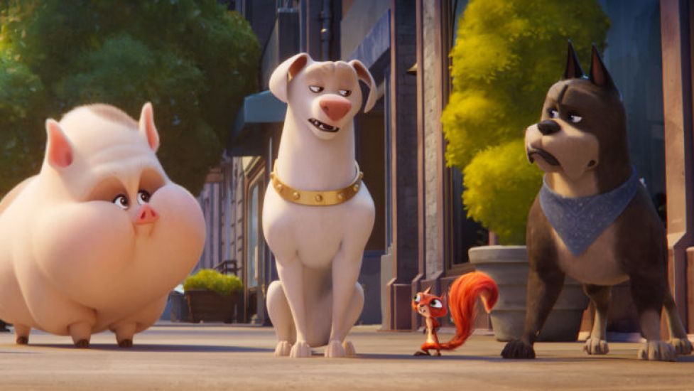 Movie Review: Dc League Of Super-Pets Tugs Shamelessly On Animal Lovers' Heartstrings
