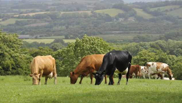 Agricultural Output Prices Sees Increase To Potatoes, Milk And Vegetables In July