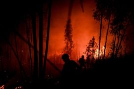 Hundreds Of Firefighters Battle Blaze Near Lisbon