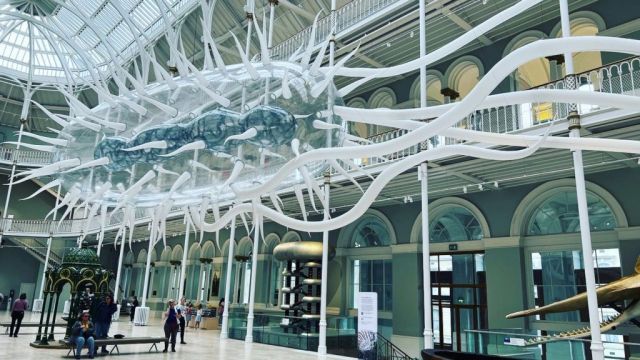 Massive Sculpture Of Bacterium Goes On Show At National Museum Of Scotland