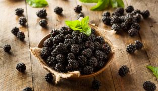 How To Grow Your Own Blackberries