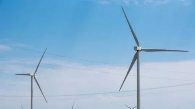 Provisional Liquidators Appointed To Wind Turbine Servicing Firm