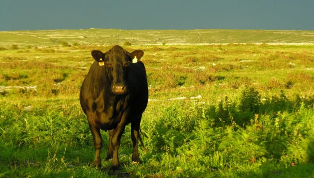 Citizens’ Assembly On Agriculture The Wrong Model, Says Farming Group