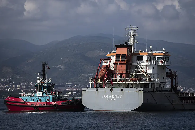 Ship Carrying Grain From Ukraine Arrives In Istanbul