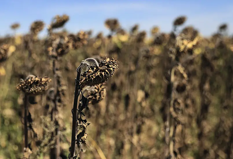 France Faces Worst Drought On Record As Fourth Heatwave Of The Year Spreads