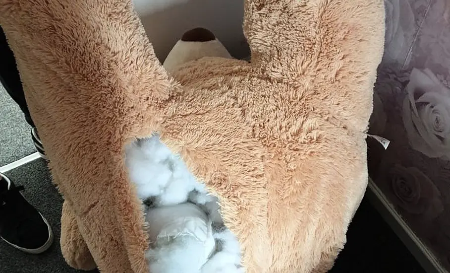 Car Thief Caught Hiding Inside Giant Teddy Bear