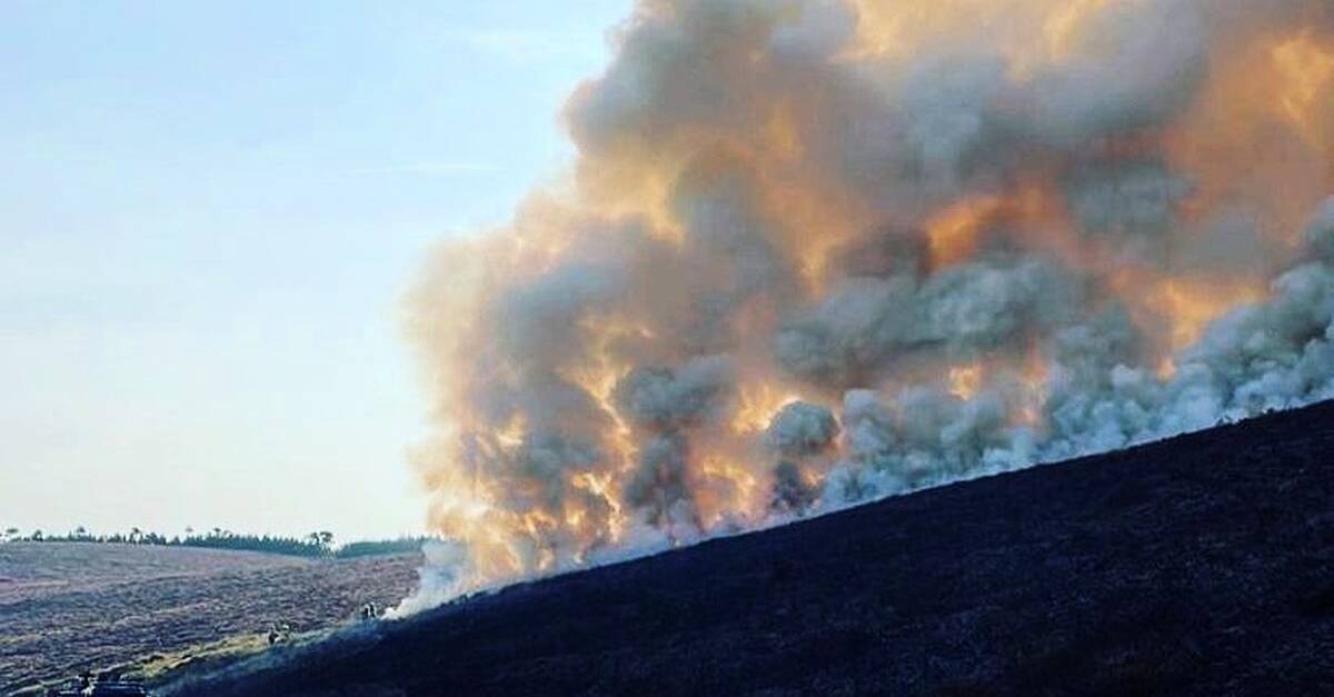 Fire Fighters Battle Large Gorse Fires On Mount Leinster