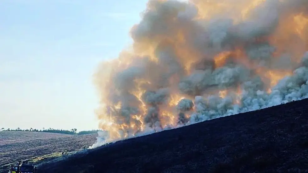 Fire Fighters Battle Large Gorse Fires On Mount Leinster