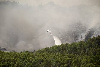 More Than 3,400 Hectares Damaged As Record Number Of Wildfires In Ireland Last Year