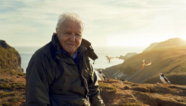 David Attenborough To Present Bbc Series Focusing On Ireland And Britain