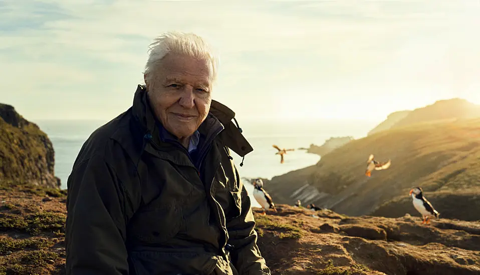 David Attenborough To Present Bbc Series Focusing On Ireland And Britain