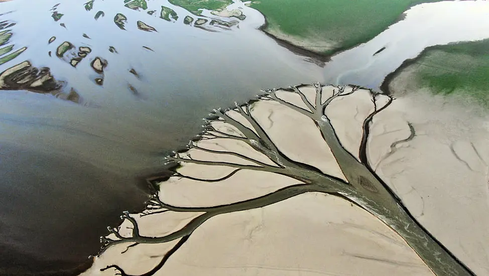 Chinese Workers Dig Deep To Keep Crops Watered After Drought Hits Largest Lake