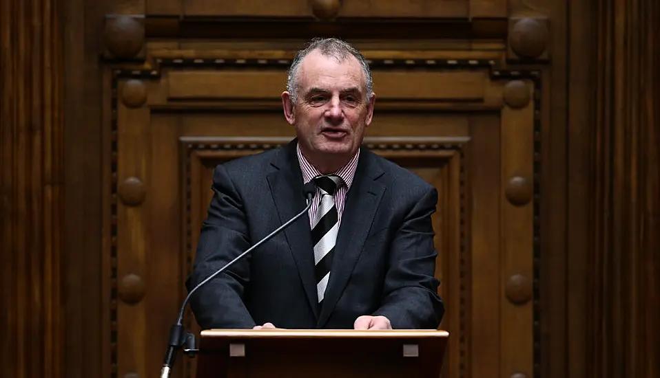 'An Insult To Ireland': Controversial New Zealand Politician Appointed As Ambassador