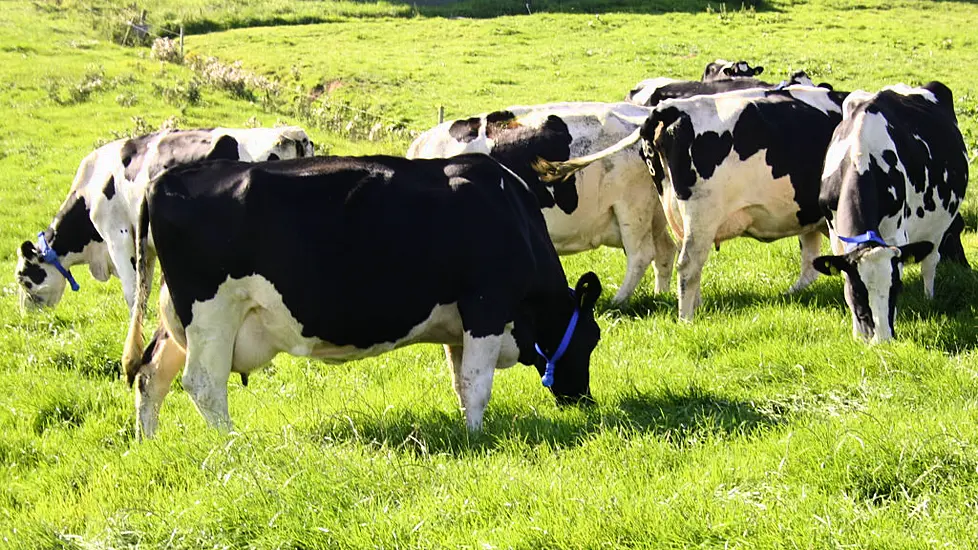 Farmers 'Near Breaking Point' As Four Supermarkets Cut The Price Of Milk