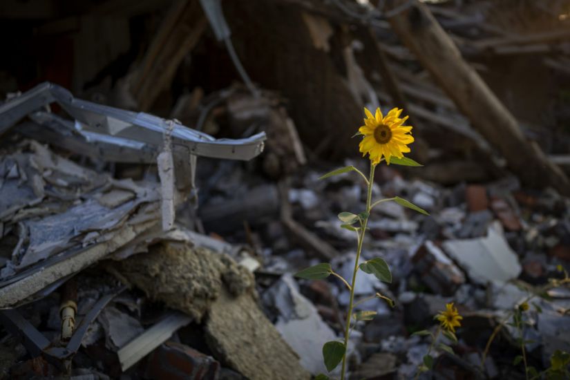 Un Agency To Inspect Ukraine Nuclear Plant In Urgent Mission