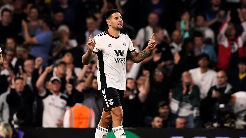 Aleksandar Mitrovic And Fulham End Brighton’s Unbeaten Start