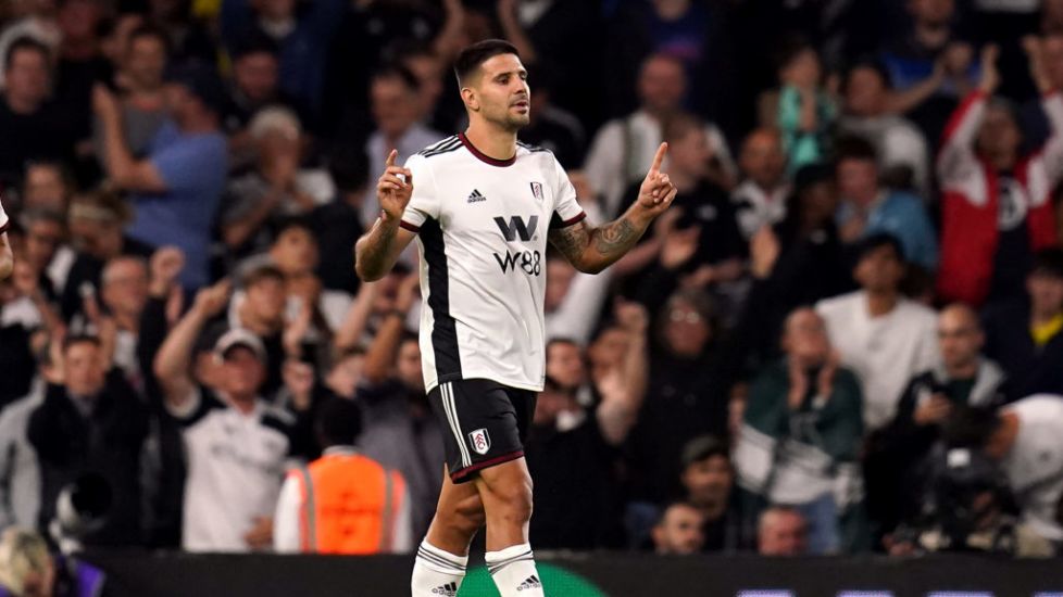 Aleksandar Mitrovic And Fulham End Brighton’s Unbeaten Start