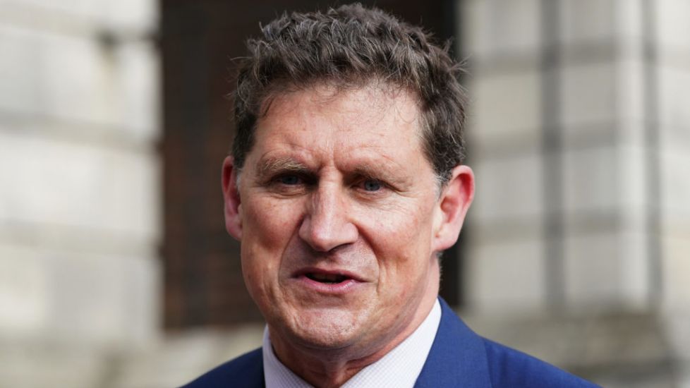 Eamon Ryan Favours Energy Credits As They Are 'Cheap And Easily Delivered'