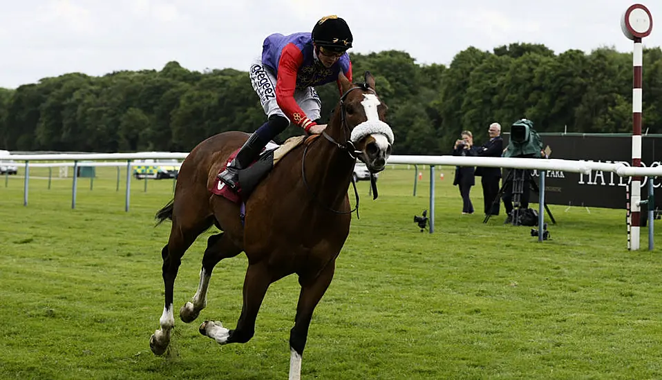 Queen Elizabeth’s Horse King’s Lynn Will Not Run At The Curragh