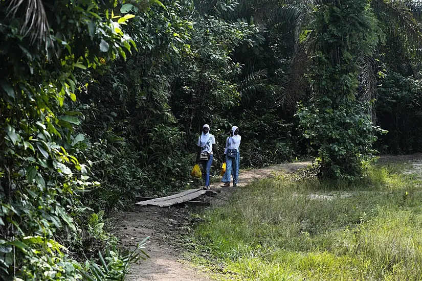 Africa Looks To Grow Its Carbon Market With Forest Schemes