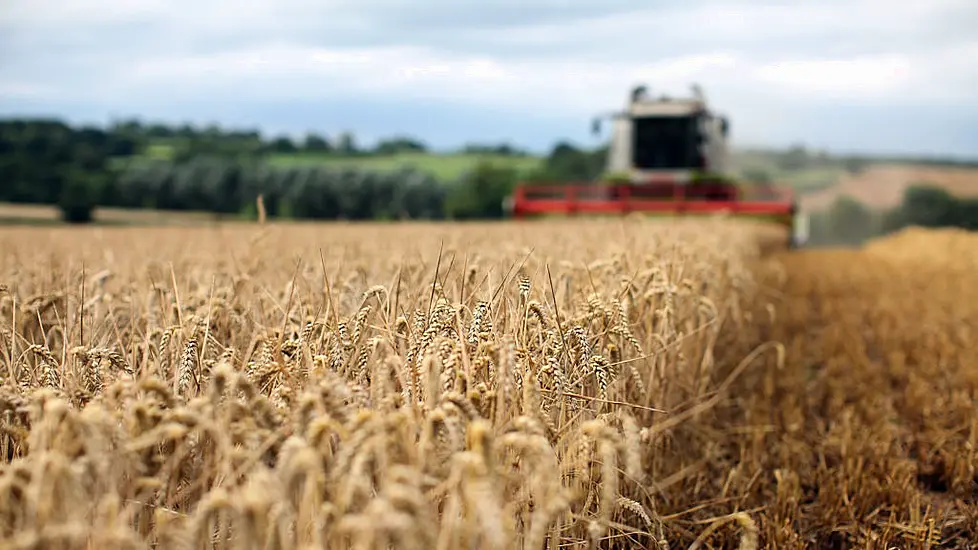 Feed Prices For Agriculture Up By 34.2% With Knock On Effect On Food Prices