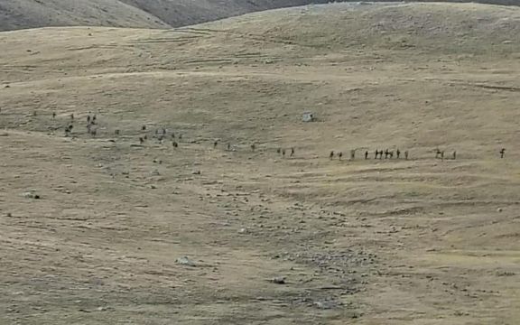 Almost 100 Troops Reported Killed In Armenia-Azerbaijan Border Clash
