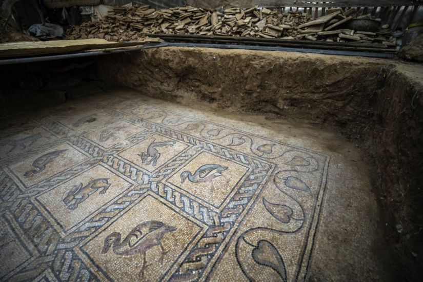 Palestinian Farmer Discovers Rare Ancient Treasure In Gaza