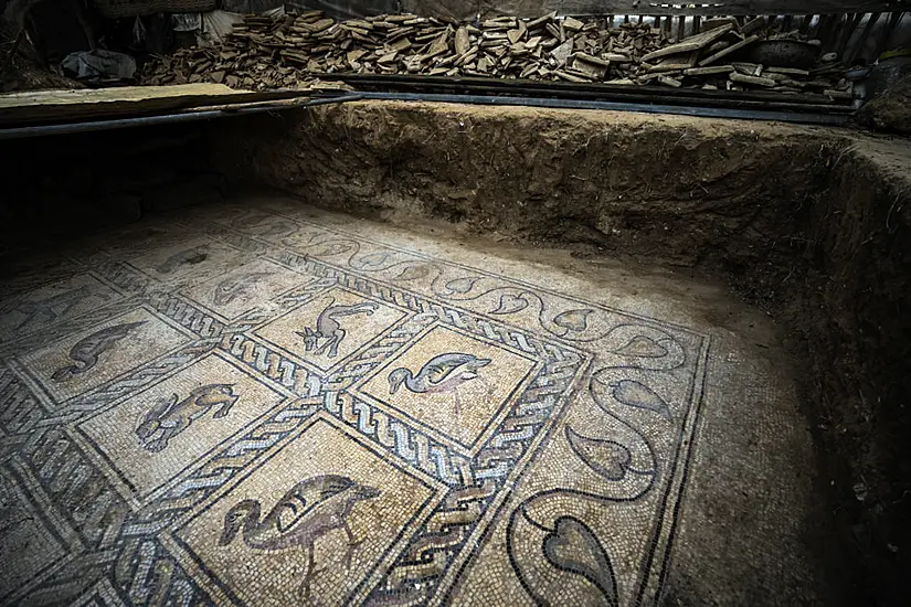 Palestinian Farmer Discovers Rare Ancient Treasure In Gaza