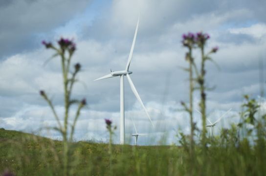 Wind Energy Ireland Says Planning System Must Be Regulated For Wind Farms