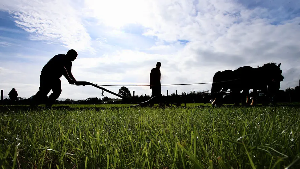 First Day Of Ploughing Championships Draws Crowd Of 91,500 People