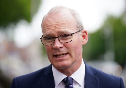Referendums Which Back Russian Rule In Ukraine A Sham – Coveney
