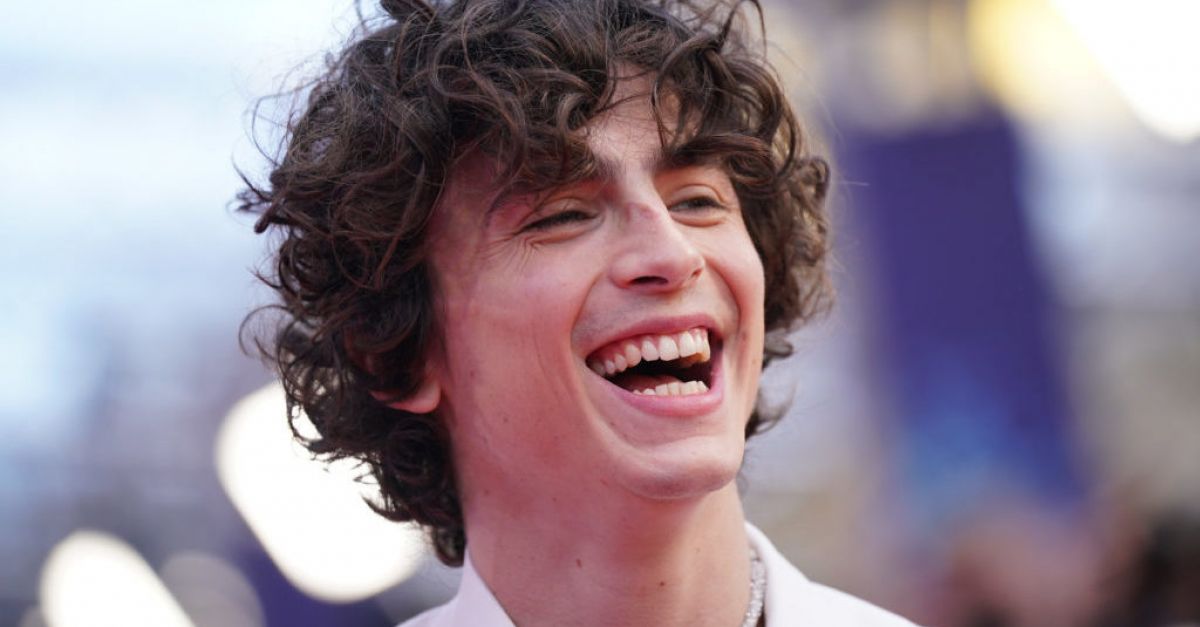 Bones and All': Timothee Chalamet's Fine Young Cannibal Romance