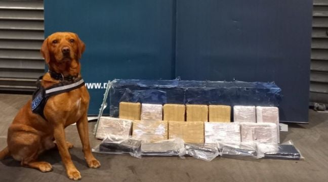 Two Arrested After Cocaine Worth €1.2M Seized At Dublin Port