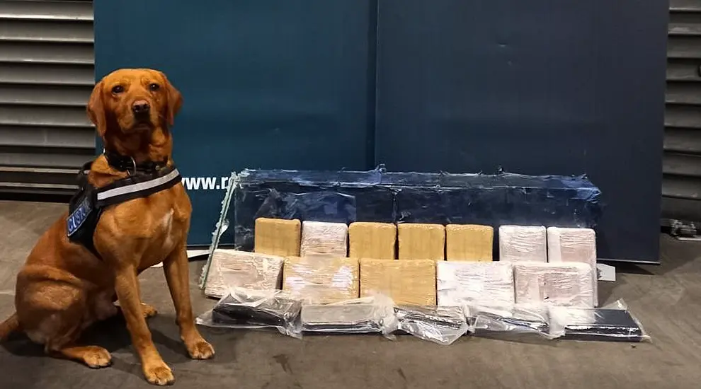 Two Arrested After Cocaine Worth €1.2M Seized At Dublin Port