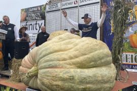 Giant Pumpkin Wins California Contest And Sets Us Record