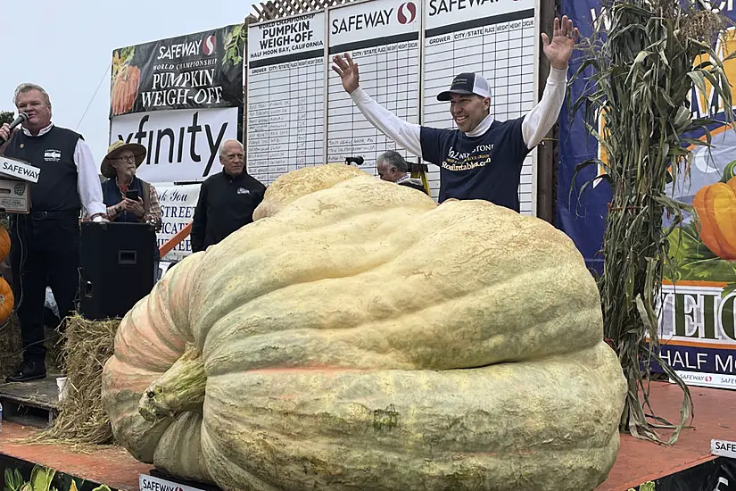 Giant Pumpkin Wins California Contest And Sets Us Record