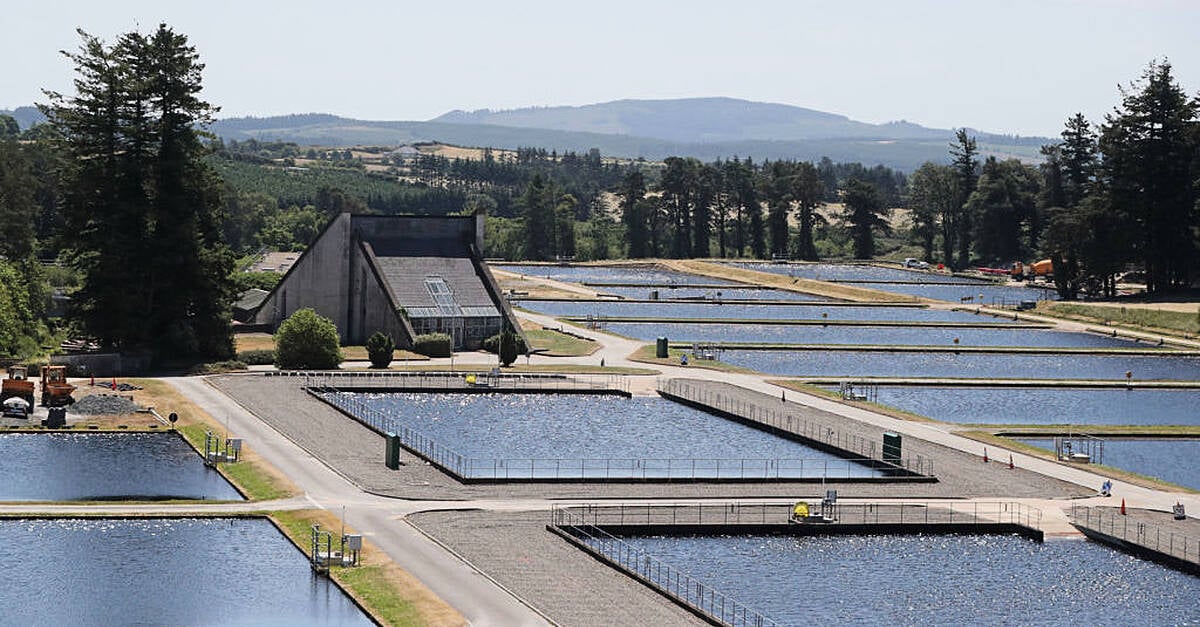 Works progress on the Ringsend Wastewater Treatment Plant Upgrade