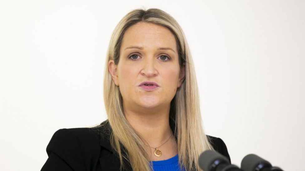 Mcentee Labels Sinn Féin 'A Party Full Of Hypocrites' At Ardfheis