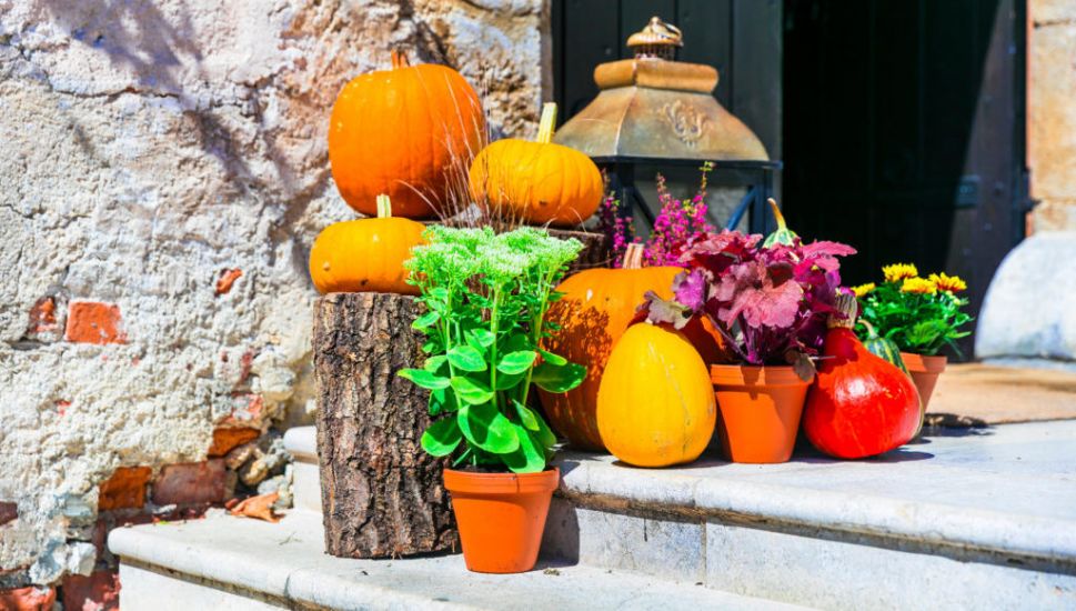 How To Make The Most Of Your Halloween Pumpkin, So It Doesn’t Go To Waste