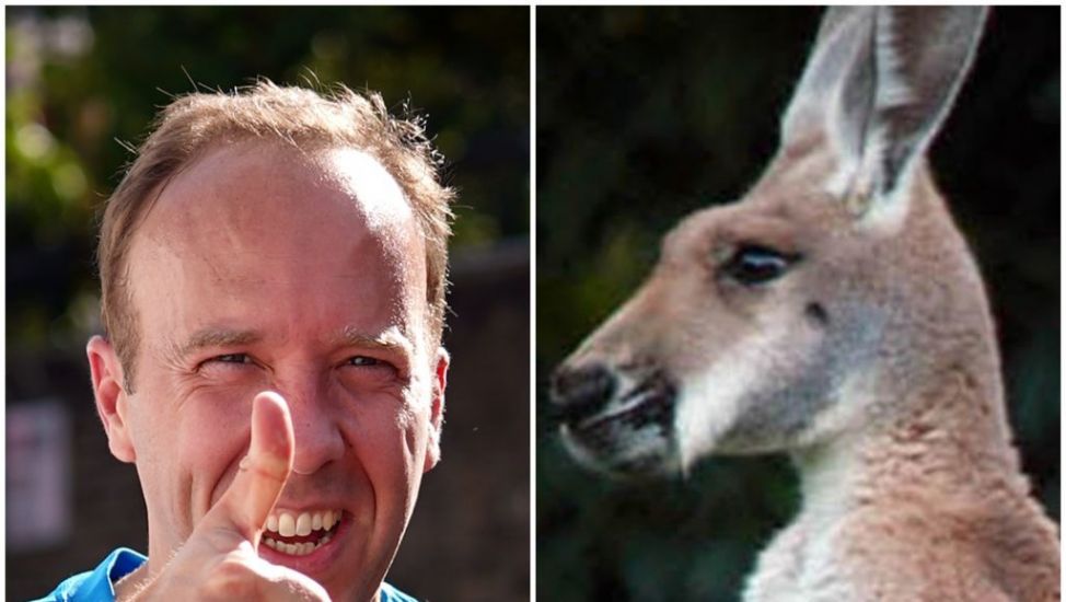 I’m Looking Forward To Matt Hancock Eating A Kangaroo’s Penis, Says Local Tory