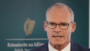 Russian Sanctions On Irish Politicians Are 'Unwelcome Distraction', Coveney Says