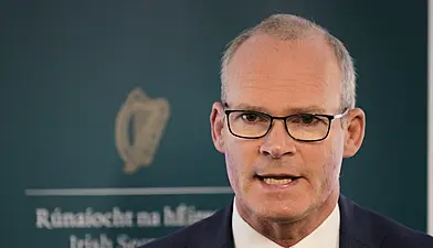 Up To 50,000 Homes A Year Needed To Meet Demand, Coveney Admits